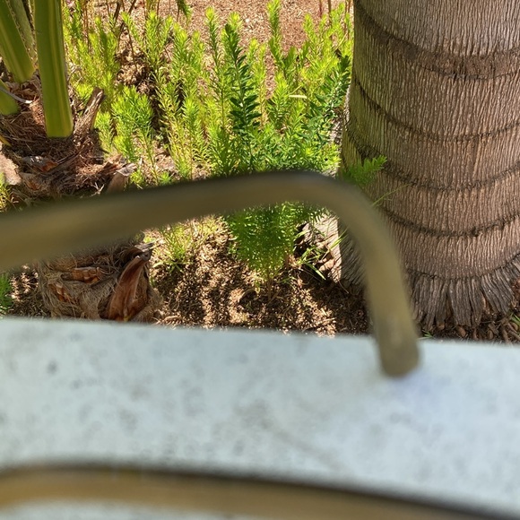 Banana Republic plastic sunglasses brown gradient lenses brown frame - Picture 8 of 10